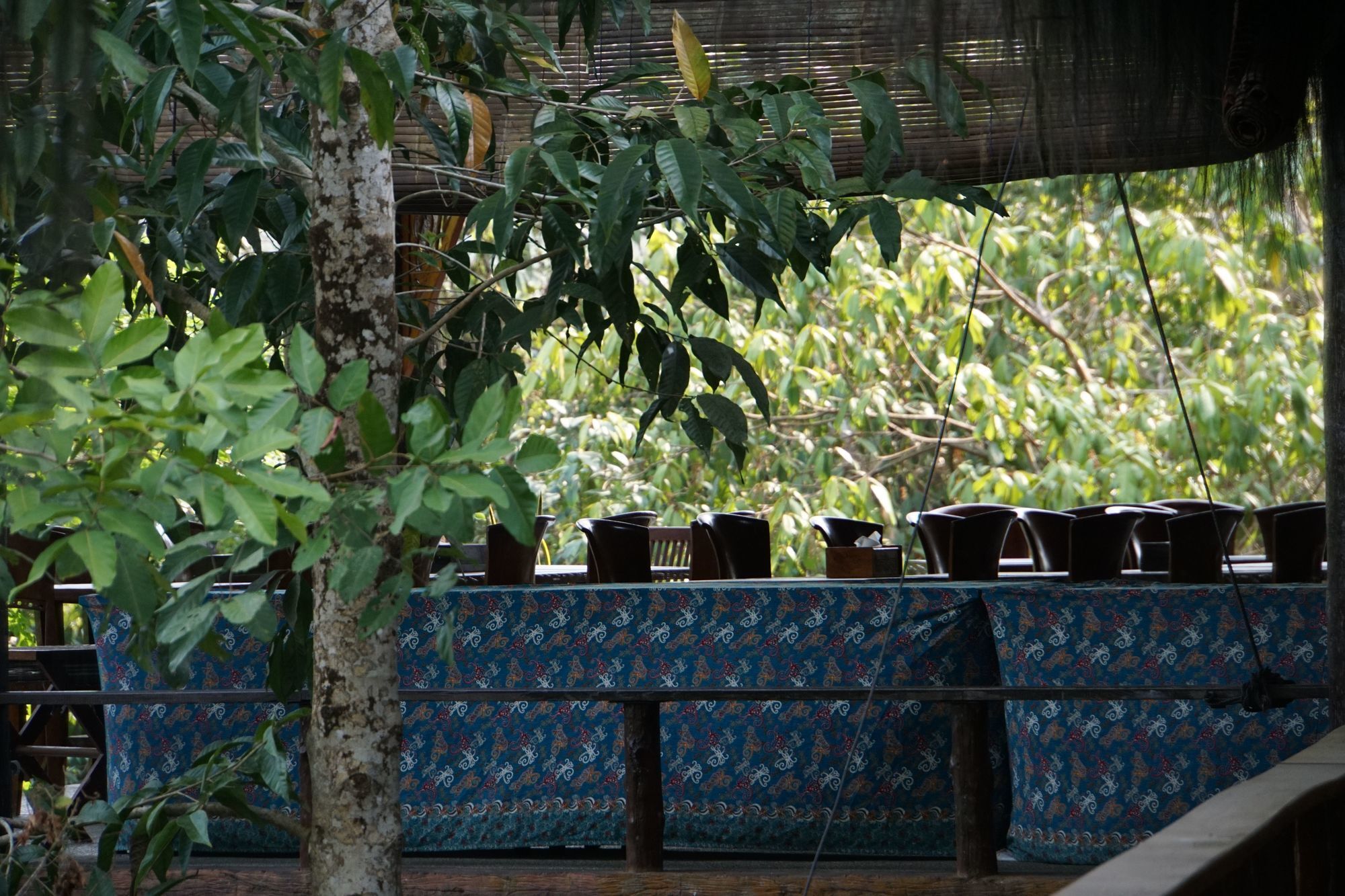 Samboja Lodge Μπαλικπαπάν Εξωτερικό φωτογραφία