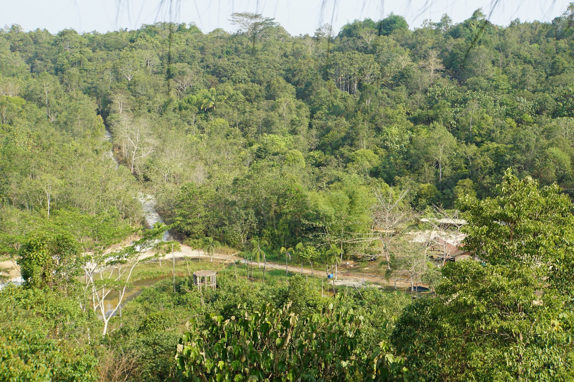 Samboja Lodge Μπαλικπαπάν Εξωτερικό φωτογραφία