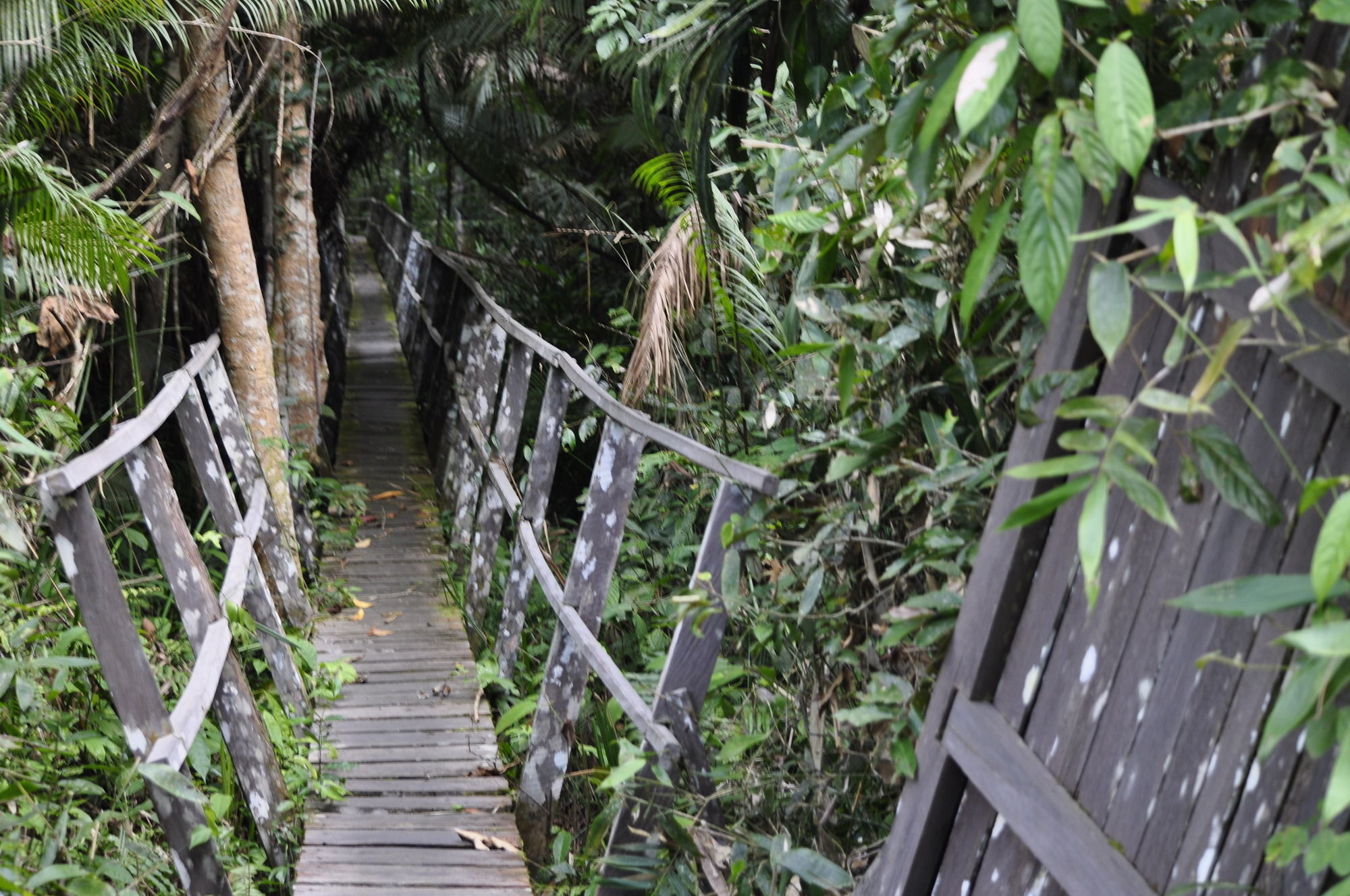 Samboja Lodge Μπαλικπαπάν Εξωτερικό φωτογραφία