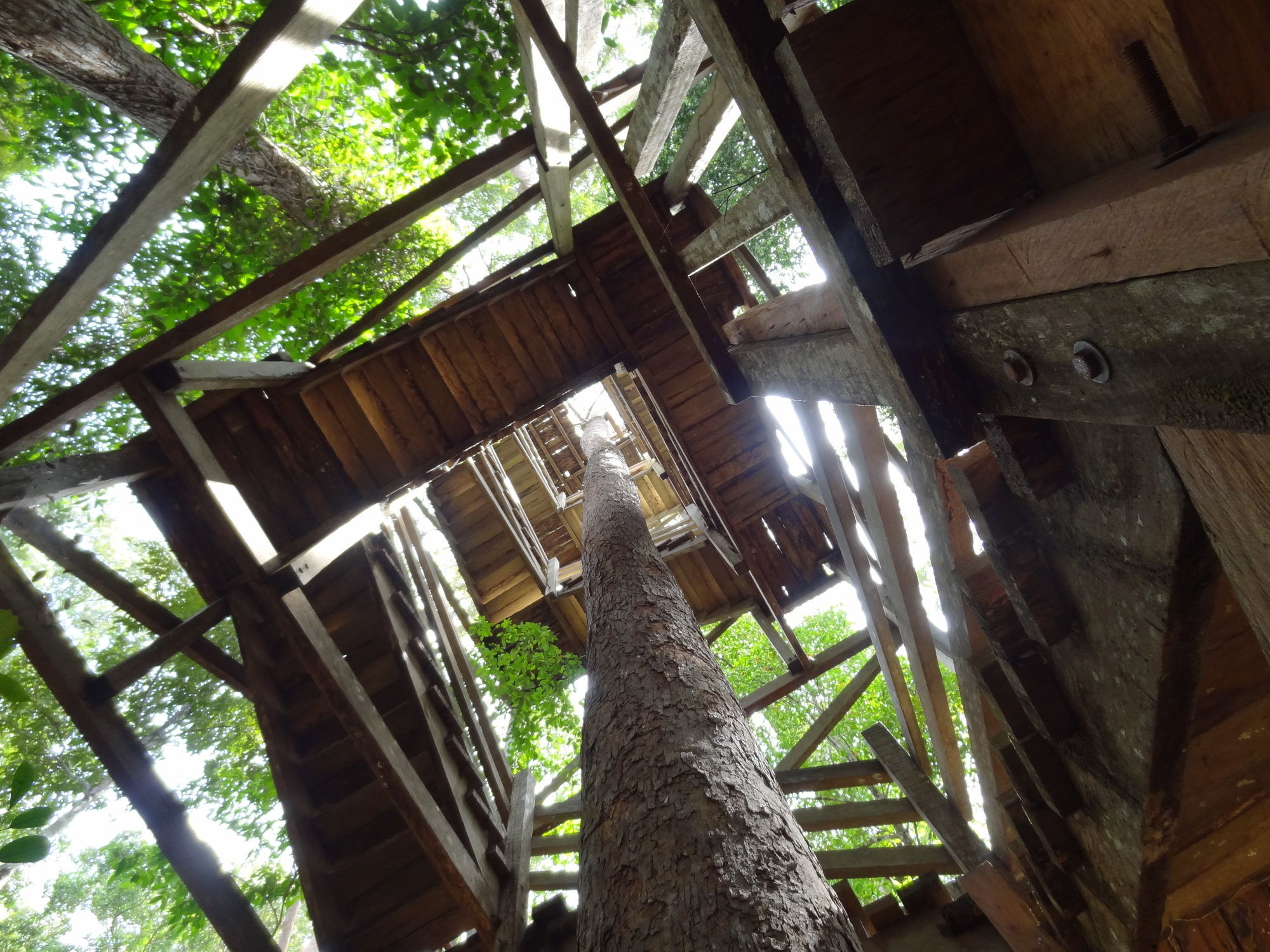 Samboja Lodge Μπαλικπαπάν Εξωτερικό φωτογραφία